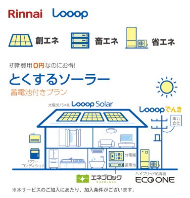 プラン2　ガスと併用(リンナイ Looop)